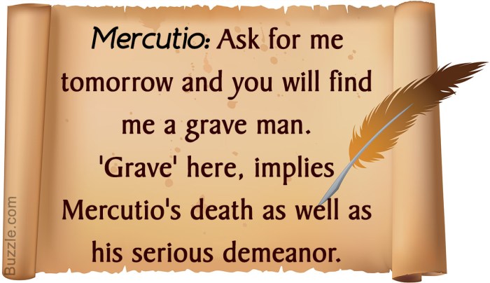 Juliet puns mercutio benvolio