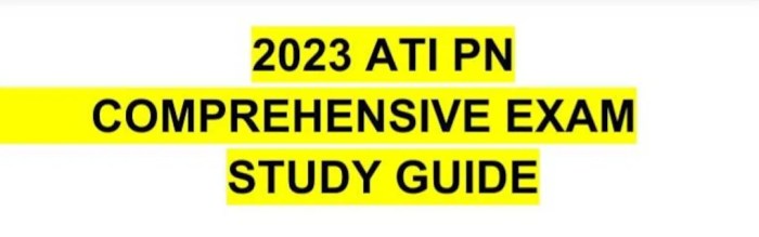 Ati rn comprehensive predictor 2023 with ngn