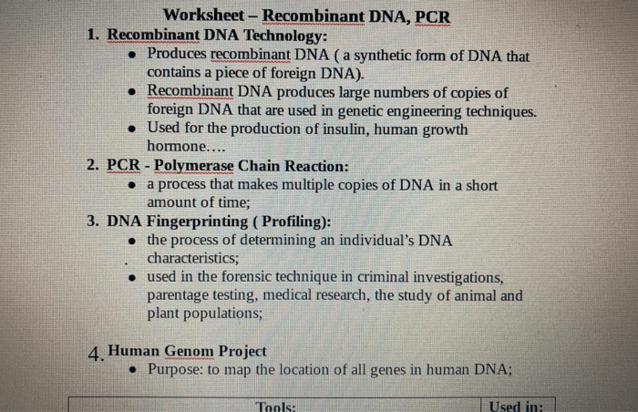 Dna profiling virtual lab answer key