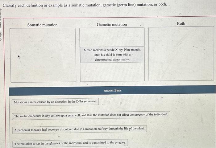 Somatic mutation germline mutations genetic