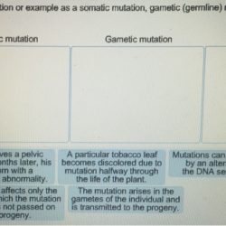 Somatic mutation helpful