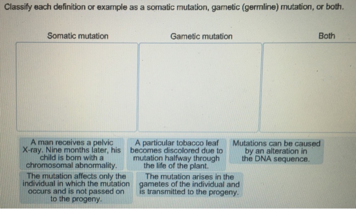 Somatic mutation helpful