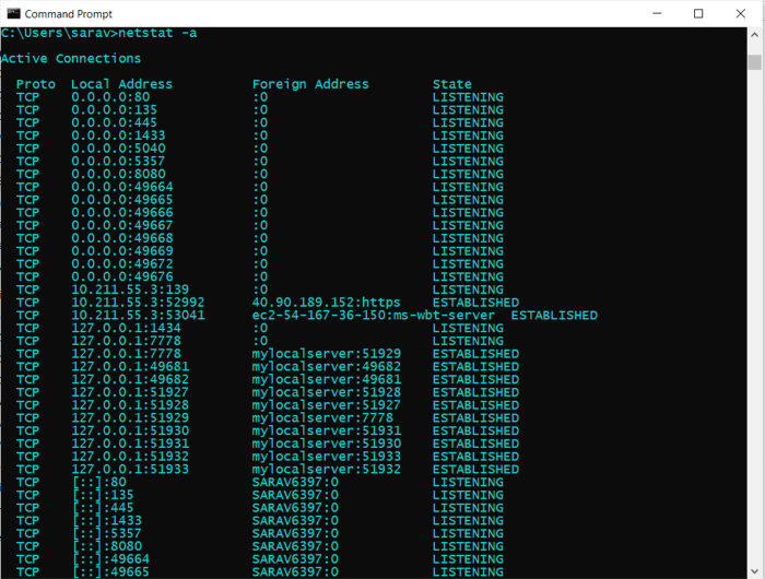 Netstat usage