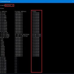 Netstat network commands windows cmd command monitor using use connections